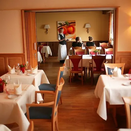 Ringhotel Appelbaum 4*