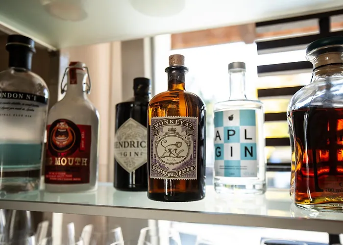 酒店 Ringhotel Appelbaum 4*
