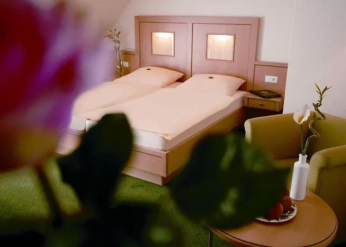 Ringhotel Appelbaum 酒店 4*